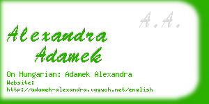 alexandra adamek business card